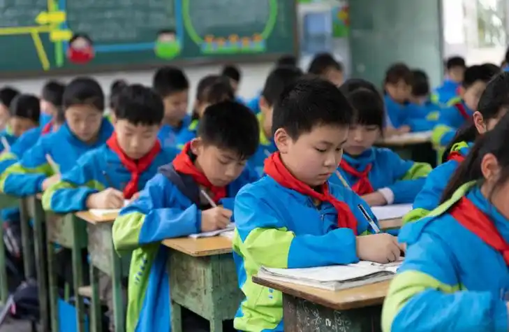 小学的基础教育_常识小学基本教育内容_小学教育基本常识